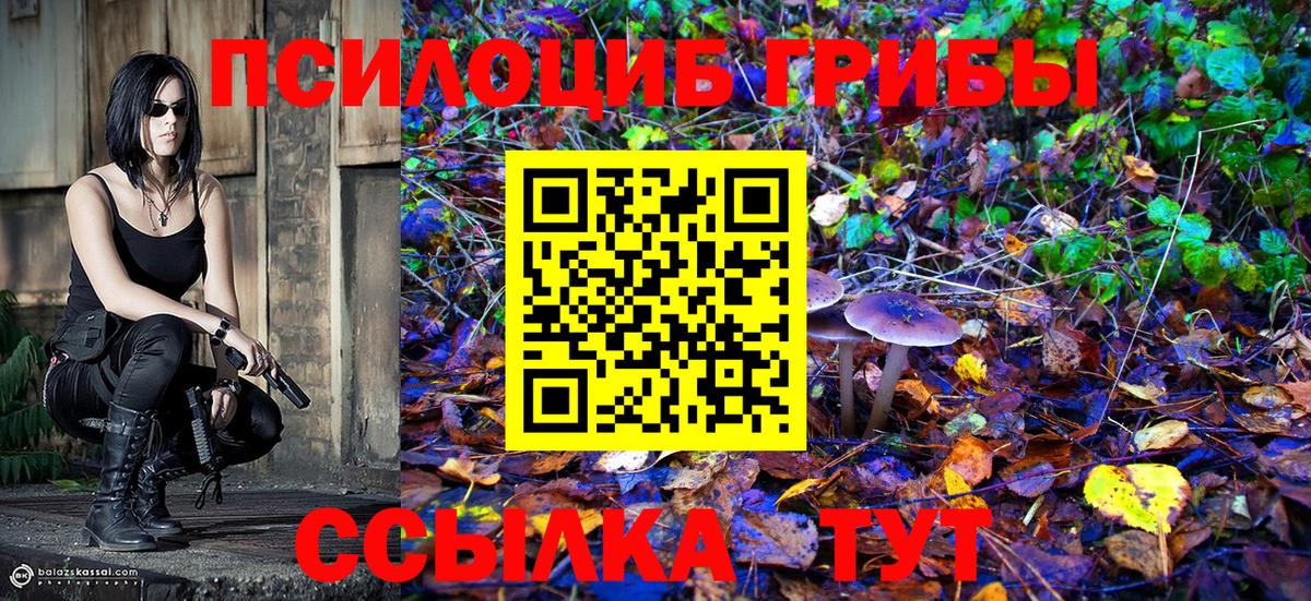 Псилоцибиновые грибы Magic Shrooms Павловский Посад